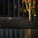 foco de suelo / LED / redondo / IP20