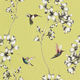papel pintado contemporáneo / con motivos florales / con motivos animales / aspecto papel pintado