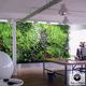 muro vegetal estabilizado / de panel modular / biológico / de feuillage