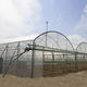 invernadero para el sector profesional / de jardinería / monocapilla / de plástico