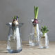 florero contemporáneo / de vidrio