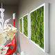 marco vegetal estabilizado / musgo / de interior / de panel modular