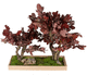 planta ornamental estabilizada / bonsai / de tamaño pequeño / de interior