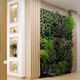 muro vegetal estabilizado / de panel modular / biológico / de feuillage