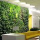 muro vegetal de plantas naturales / a medida / de interior / de jardín