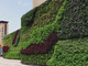 muro vegetal de plantas naturales / a medida / de interior / de exterior