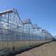 invernadero para el sector profesional / de producción / multicapilla / estructura de aluminio
