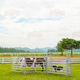 valla con barrotes / para cercado de animales / de acero galvanizado / rectangular