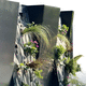 muro vegetal para fachada / de plantas naturales / de panel modular / biológico