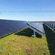 cubierta vegetal para cubierta plana / con instalación fotovoltaica integrada