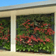 muro vegetal de plantas naturales / biológico / con motivos de flores / de interior
