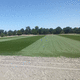césped en rollo / para campo deportivo / drenante / reforzado
