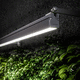 proyector IP66 / LED RGB / LED RGBW / profesional