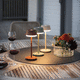 lámpara de mesa / de aluminio / contemporánea / con batería recargable