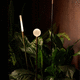 bolardo de iluminación de jardín / contemporáneo / de latón / de PMMA