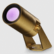 proyector IP67 / LED RGB / LED RGBW / profesional