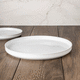 plato plana / redondo / para el sector profesional / de color liso