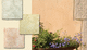 pintura decorativa / de exterior / de fachada / acrílica