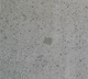 placa de piedra de piedra caliza / para suelo / para interiores / de revestimiento
