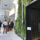 muro vegetal de panel modular / de interior / de exterior / con estructura modular