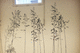 adhesivo de pared naturaleza