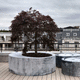 jardinera de zinc / redonda / contemporánea / gris