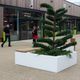 banco con jardinera integrada / contemporáneo / de madera / de hormigón
