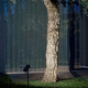 bolardo de iluminación de acero inoxidable / de jardín / contemporáneo / de acero