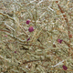 panel decorativo para interiores / de fibras naturales / de HPL / texturizado