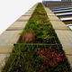 muro vegetal de plantas naturales / de panel modular / columna / biológico
