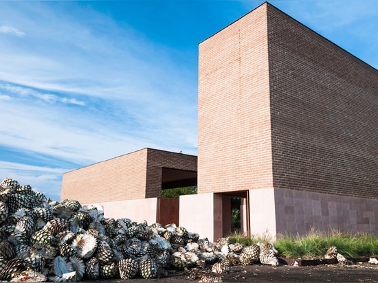 El ALA de Estudio termina la capilla de la terracota en una fábrica mexicana del tequila