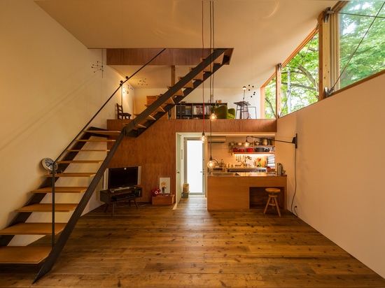 La casa de madera compacta de los arquitectos de Takeru Shoji se coloca junto a árboles de 200 años