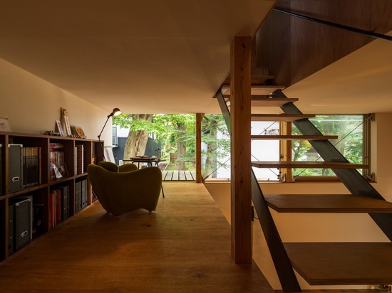 La casa de madera compacta de los arquitectos de Takeru Shoji se coloca junto a árboles de 200 años