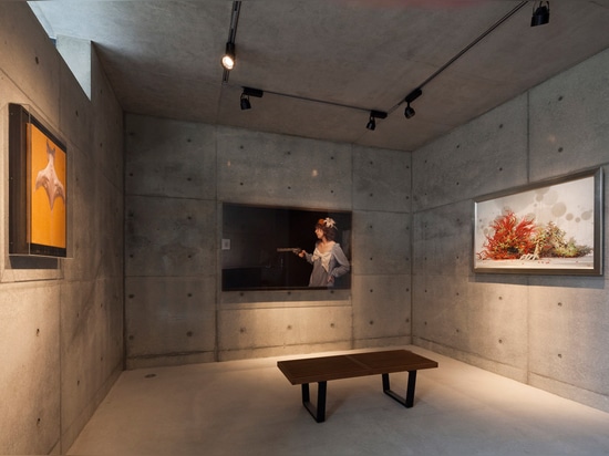 La casa de la mirada en Japón también contiene una galería para exhibir la colección de arte del cliente