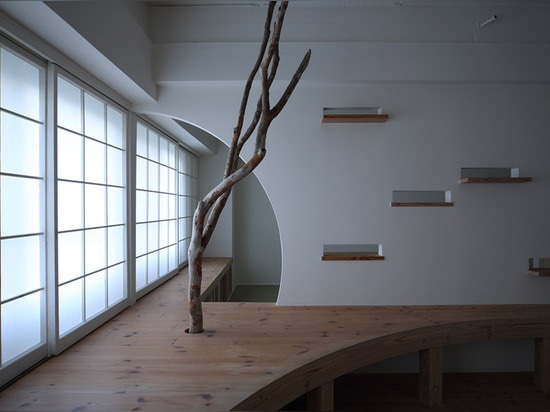 Los arquitectos nanos remodelan el apartamento de los años 60 en Japón con aberturas curvadas y letterbox-formadas