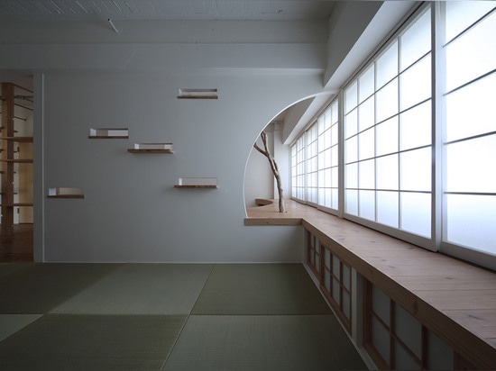 Los arquitectos nanos remodelan el apartamento de los años 60 en Japón con aberturas curvadas y letterbox-formadas