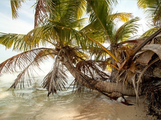 Leonardo DiCaprio está construyendo un eco-centro turístico de lujo cerca de Belice