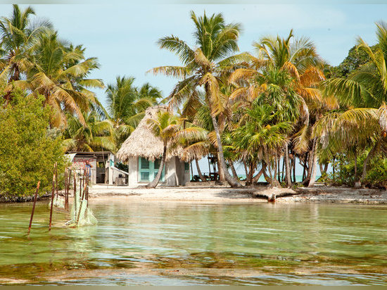 Leonardo DiCaprio está construyendo un eco-centro turístico de lujo cerca de Belice