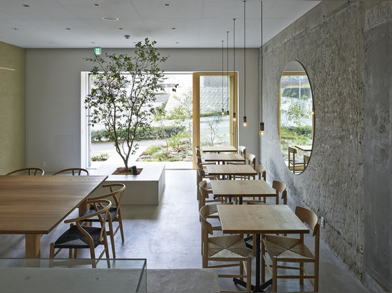 ¡Un pequeño árbol produce el café interior de Ito-biyori de Ninkipen!