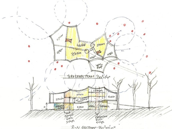 Centro minimalista de los artes visuales de Steven Holl el nuevo refleja la belleza de los árboles del viejo-crecimiento