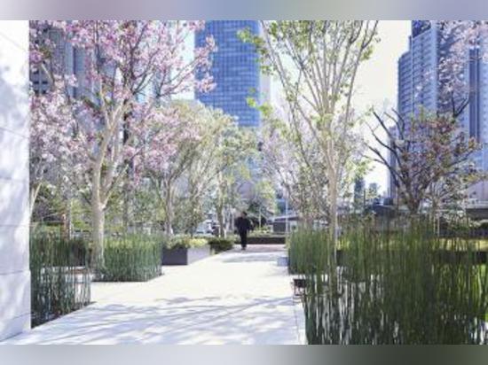 Jardín visto de la entrada del hotel