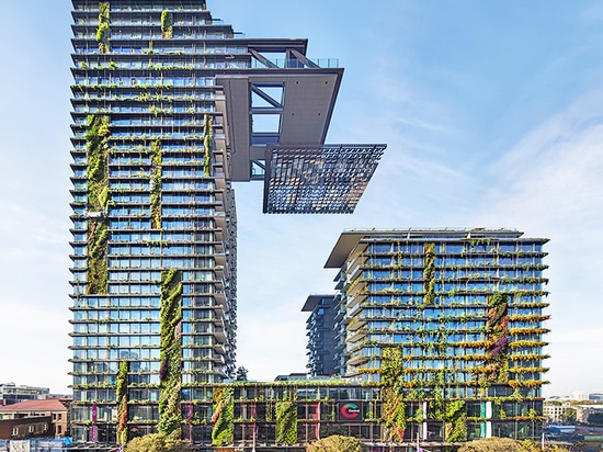 El jardín vertical más alto del mundo vive y respira en Sydney