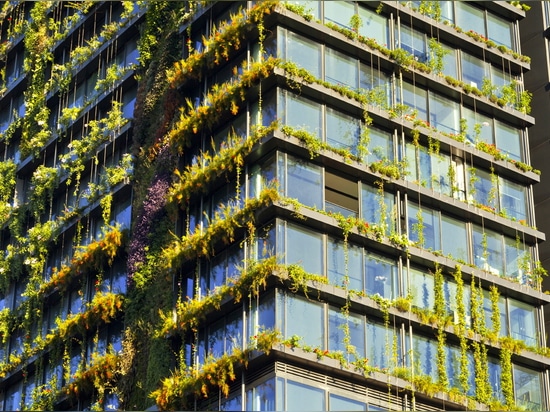 El jardín vertical más alto del mundo vive y respira en Sydney