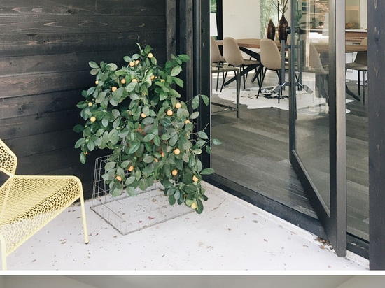 Esta casa en forma de L en Texas Opens Up For Indoor/el entretenimiento al aire libre