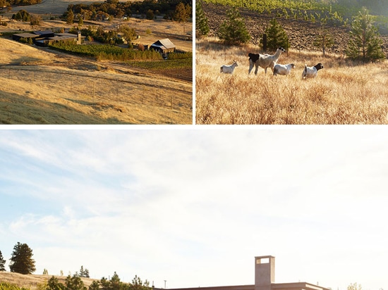 Un nuevo edificio para este lagar en las colinas de Washington State