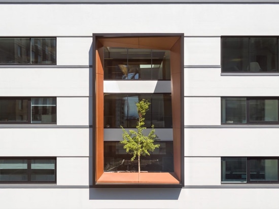 Perkins + revisa un almacén concreto aburrido en oficinas hermosas del oro de LEED