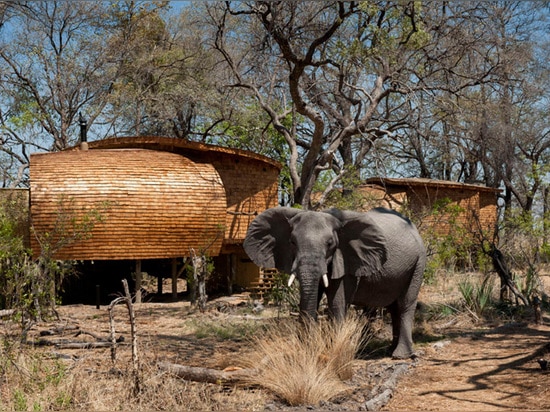 Una casa de campo sostenible del safari llega en Botswana