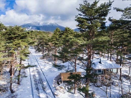 el taller del estilo de vida integra ‘un proyecto del año’ en el hábitat natural del arbolado de Japón