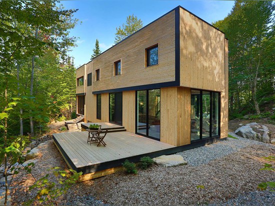 Esta casa revestida de madera está en el país en los árboles