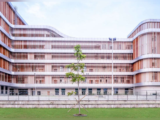 La casa de retiro en China acentúa la vida comunal en un ajuste natural